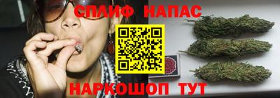 крисы Татарск