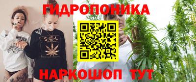 крисы Татарск