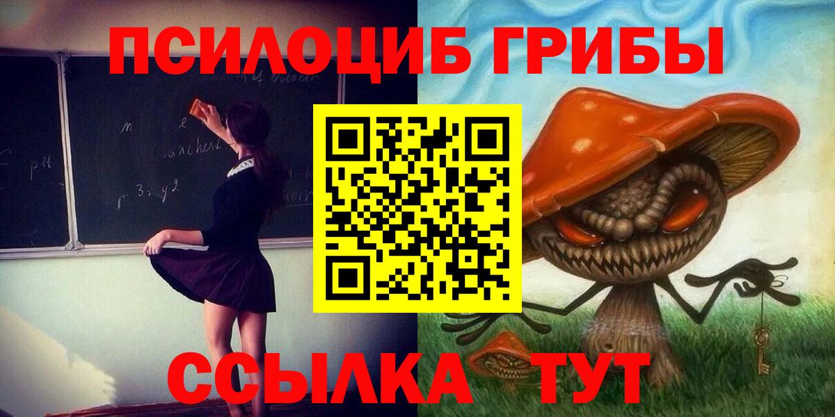 Галлюциногенные грибы Psilocybine cubensis Барнаул